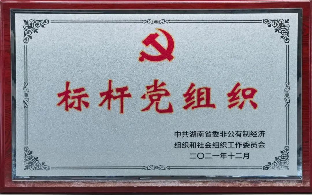 党建品牌亮起来！3868la银河总站智能党委获评“标杆党组织”
