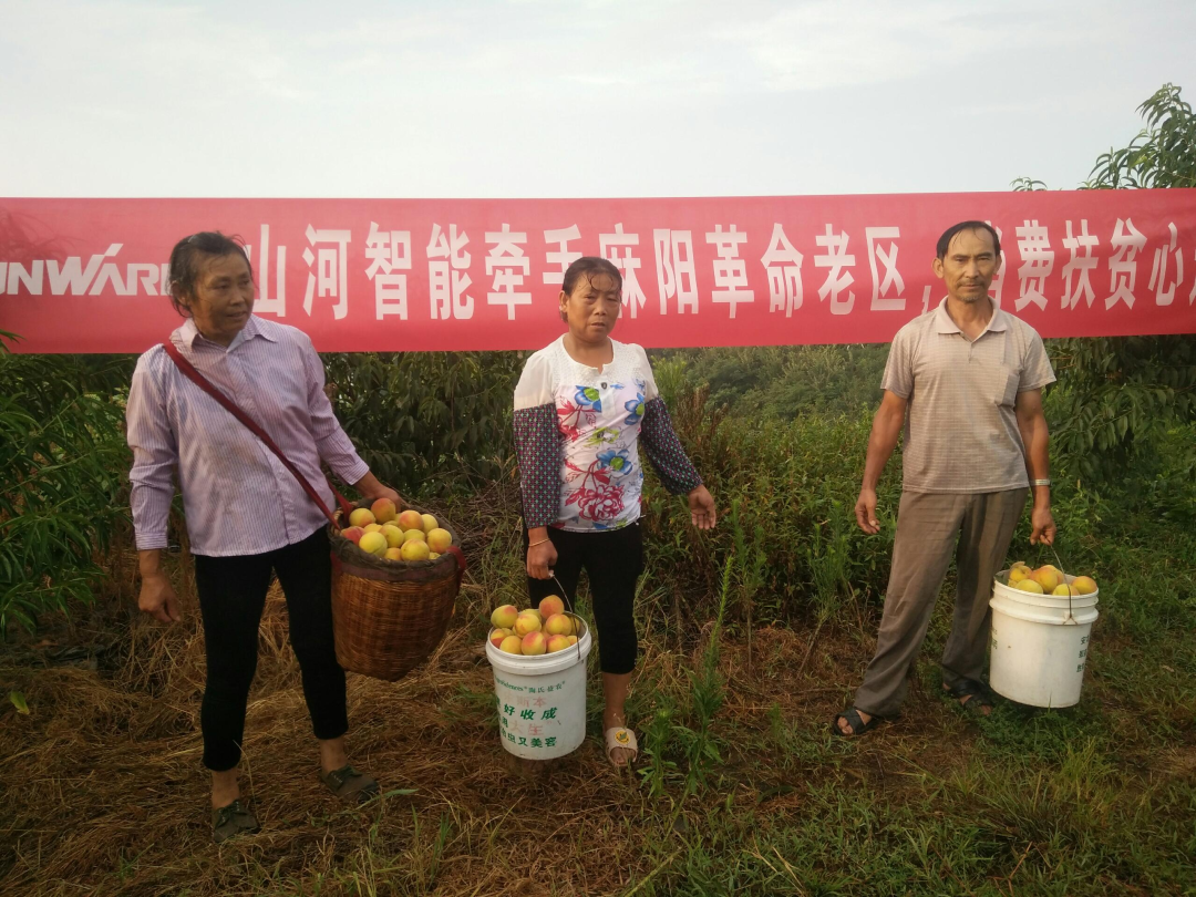 点赞！3868la银河总站智能成功入选“上市公司村落振兴优良实际案例”